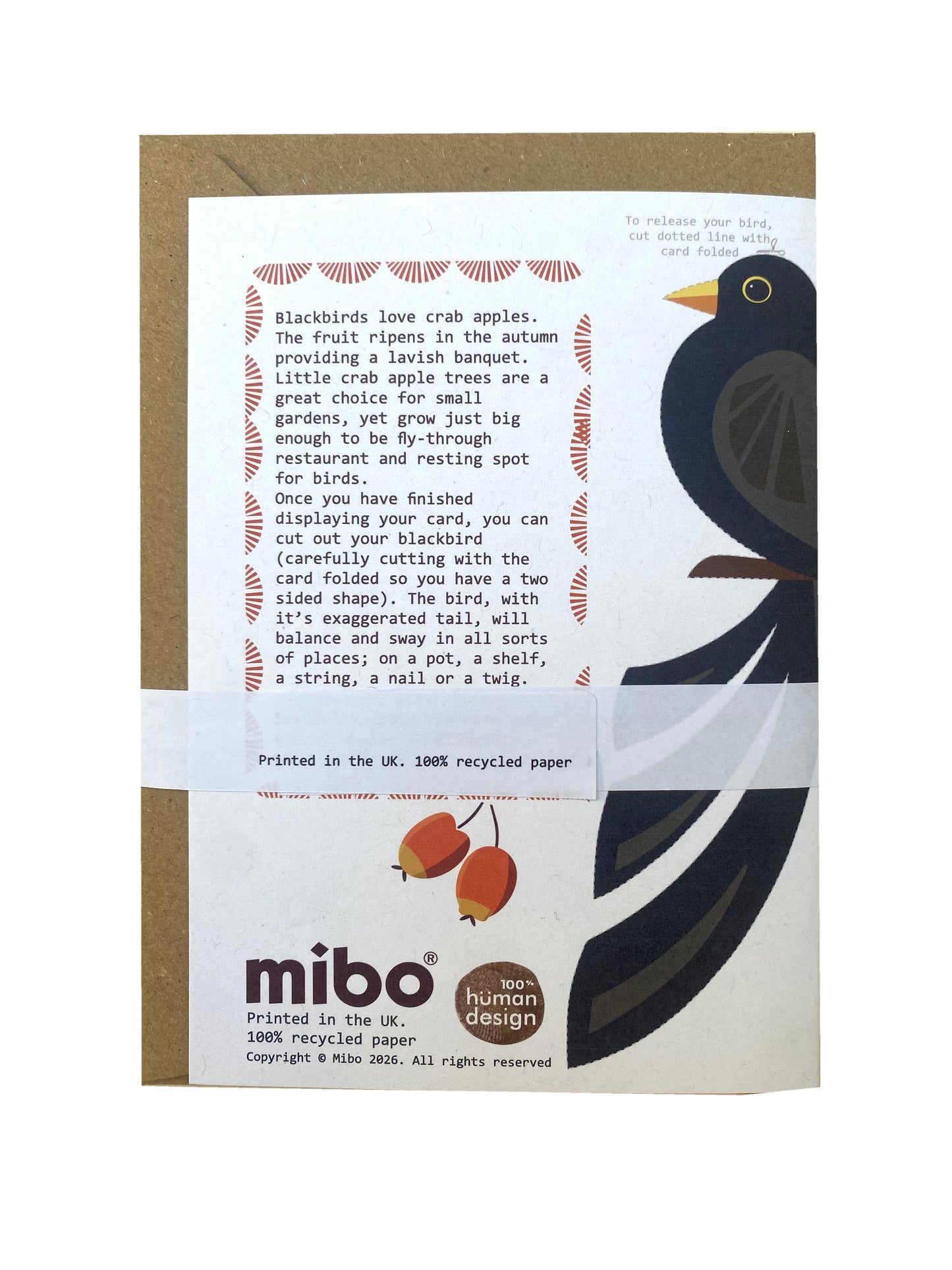 Blackbird and Crab Apple Greetings Card