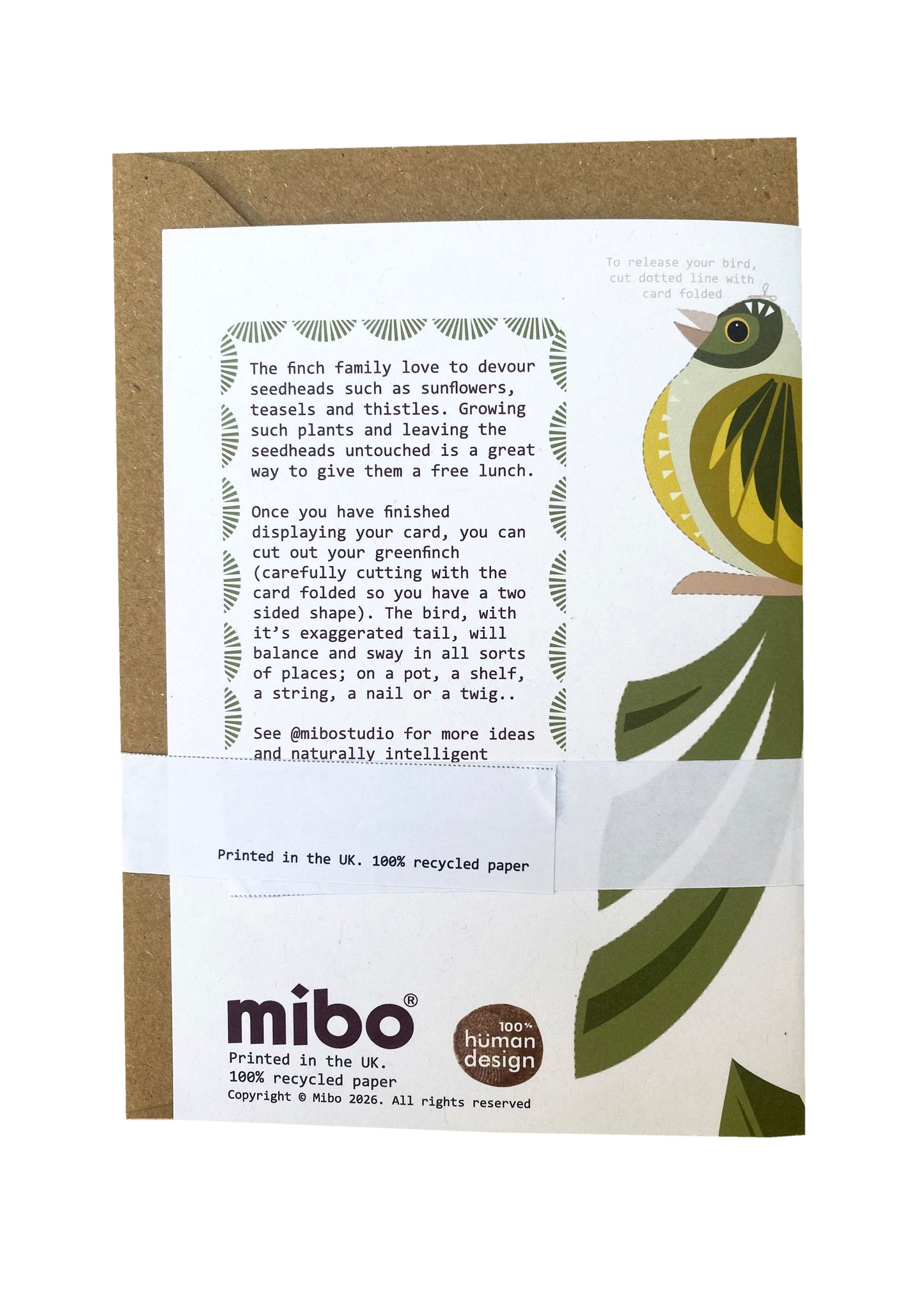 Greenfich and Sunflower Greetings Card