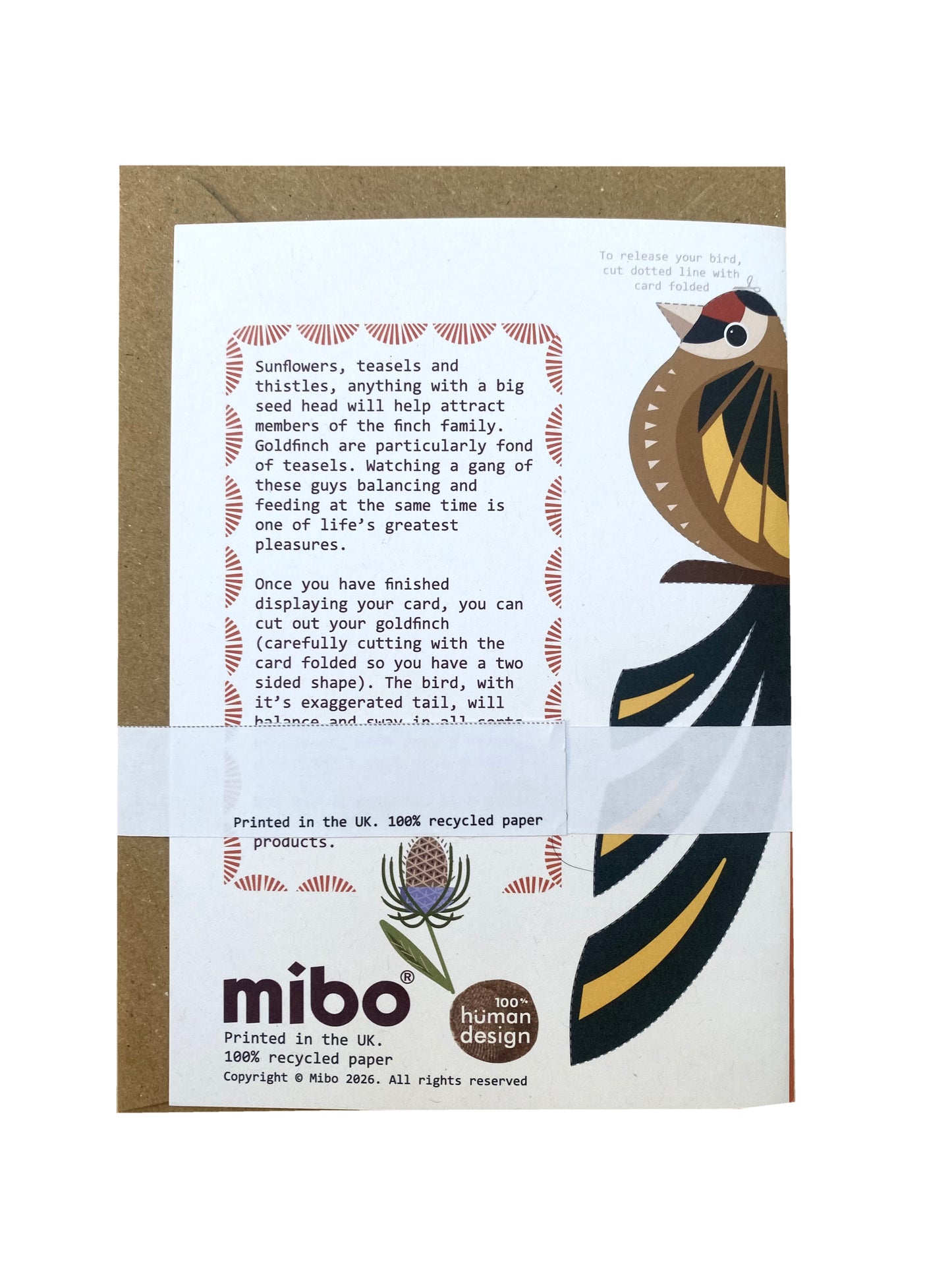 Goldfinch and Teasel Greetings Card